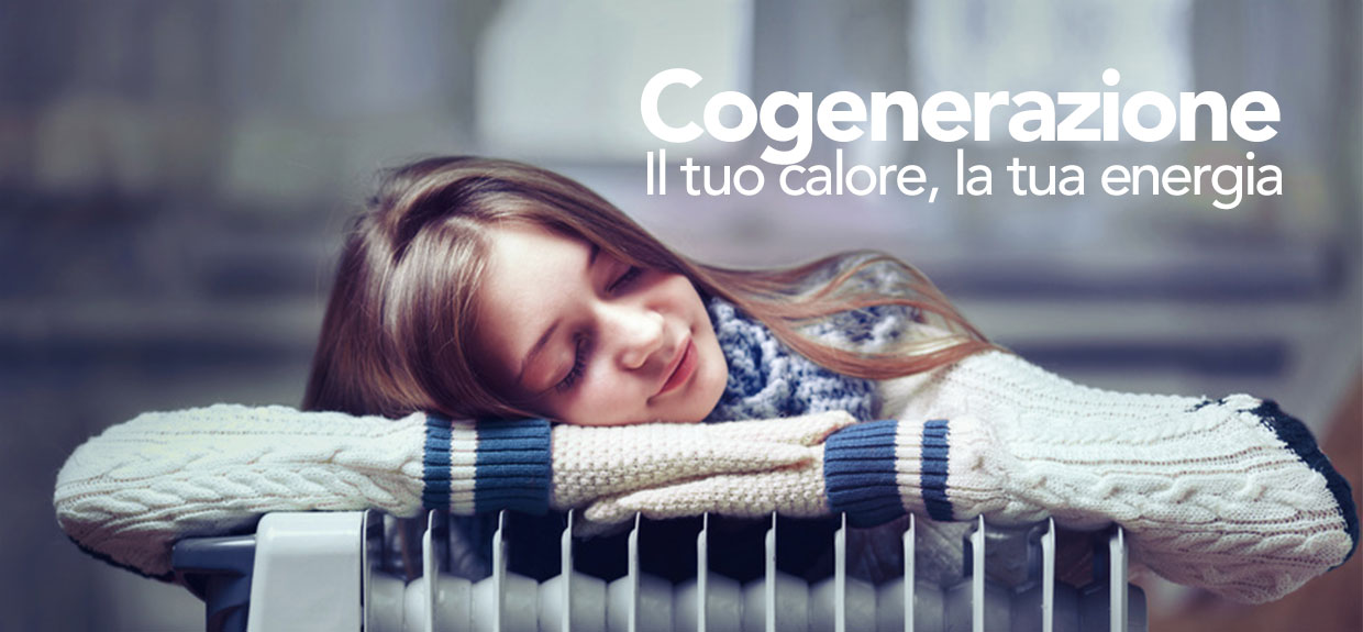 Anelios vendita e installazione impianti di cogenerazione in Abruzzo Anelios vendita e installazione impianti di cogenerazione in Abruzzo